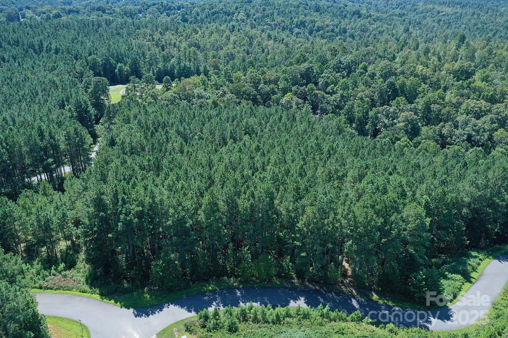 335 Table Rock Trace #154 - Photo 20