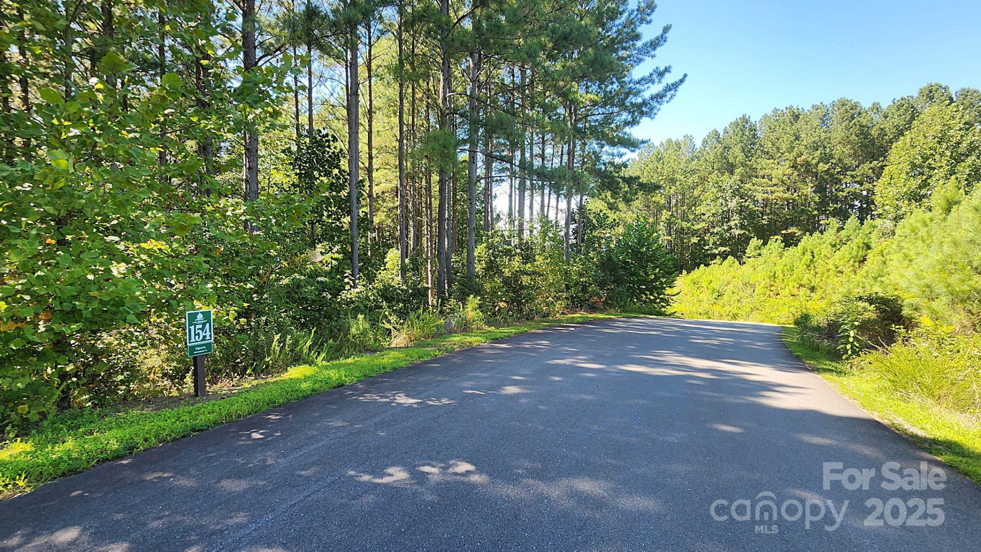 335 Table Rock Trace #154 - Photo 21