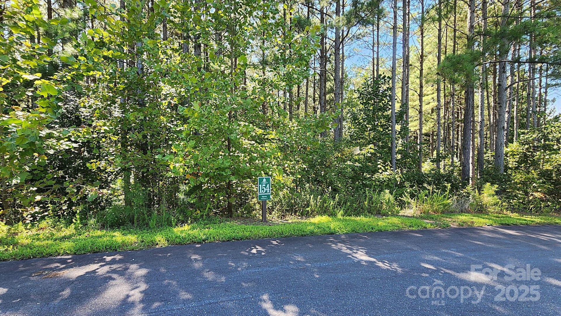 335 Table Rock Trace #154 - Photo 22