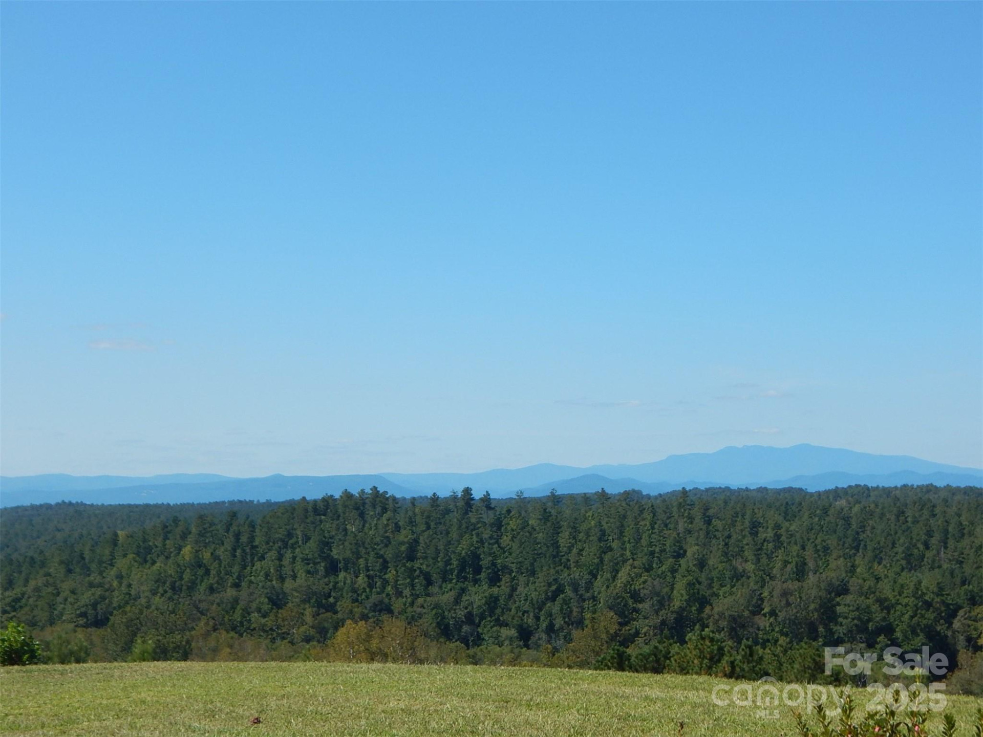 335 Table Rock Trace #154 - Photo 6