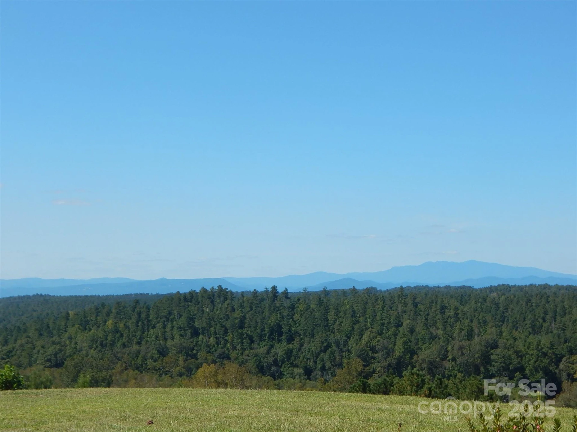 335 Table Rock Trace #154 - Photo 6