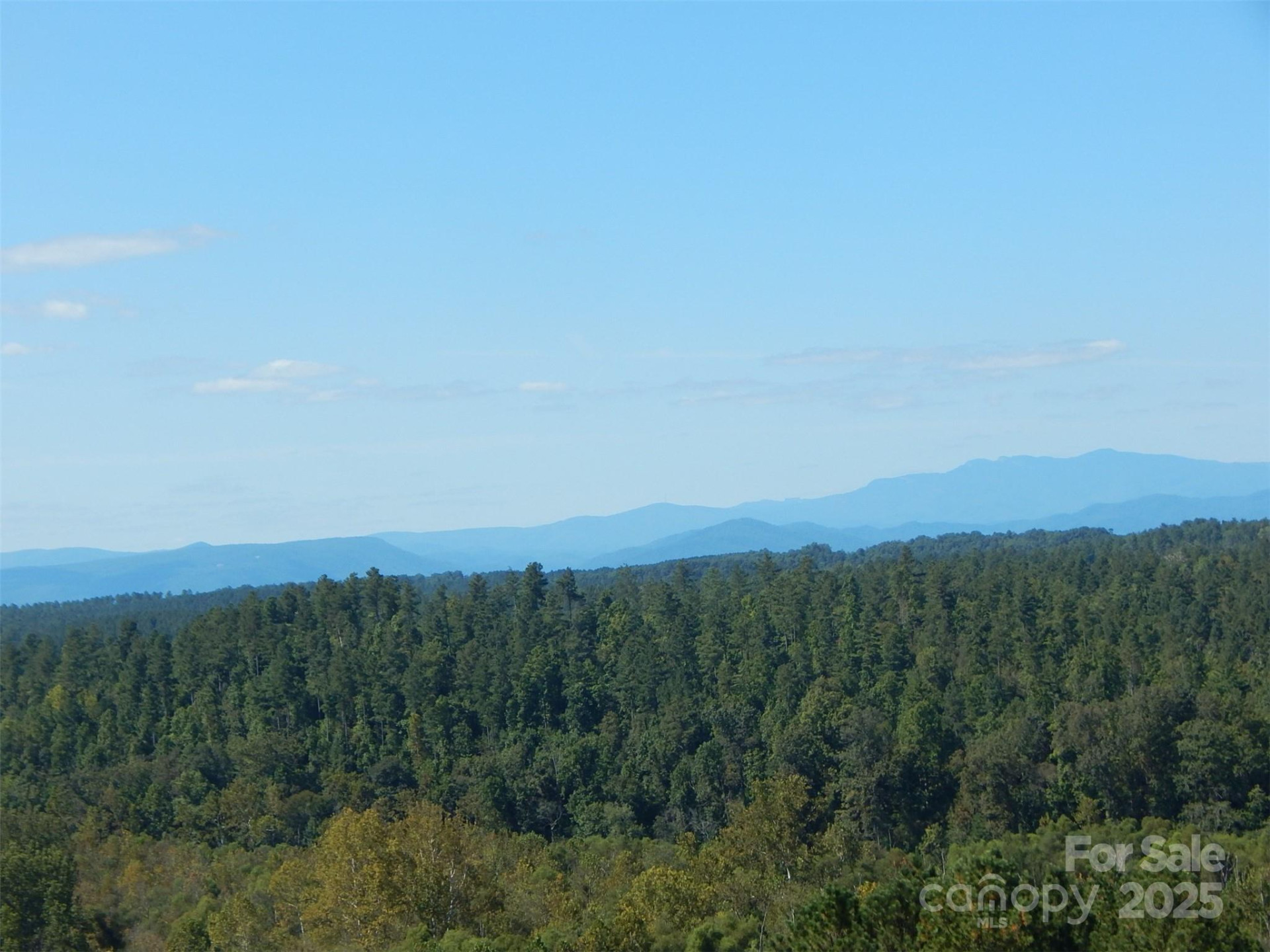 335 Table Rock Trace #154 - Photo 7