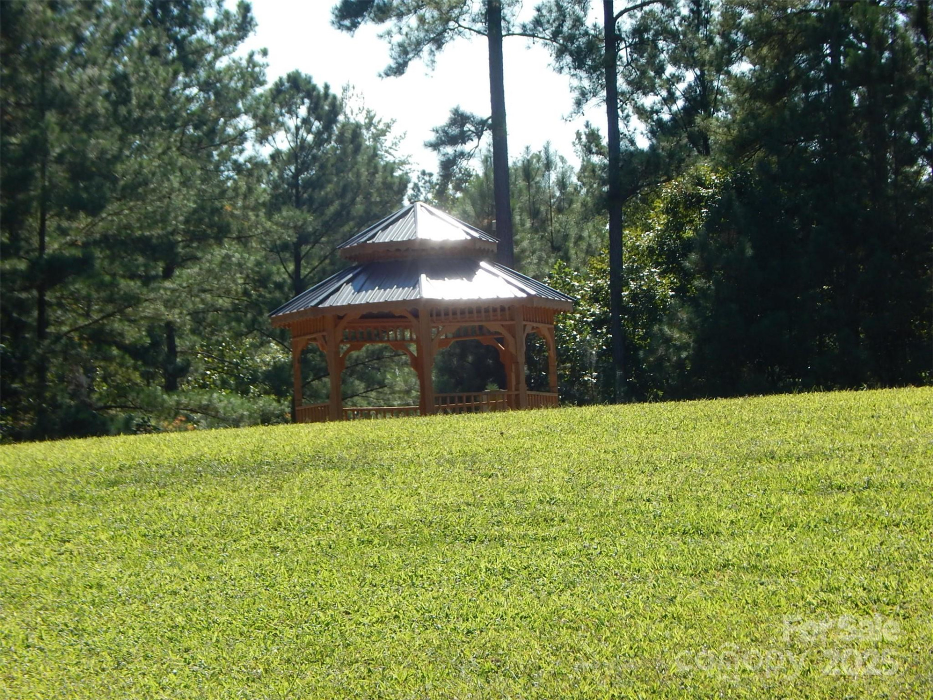 335 Table Rock Trace #154 - Photo 10