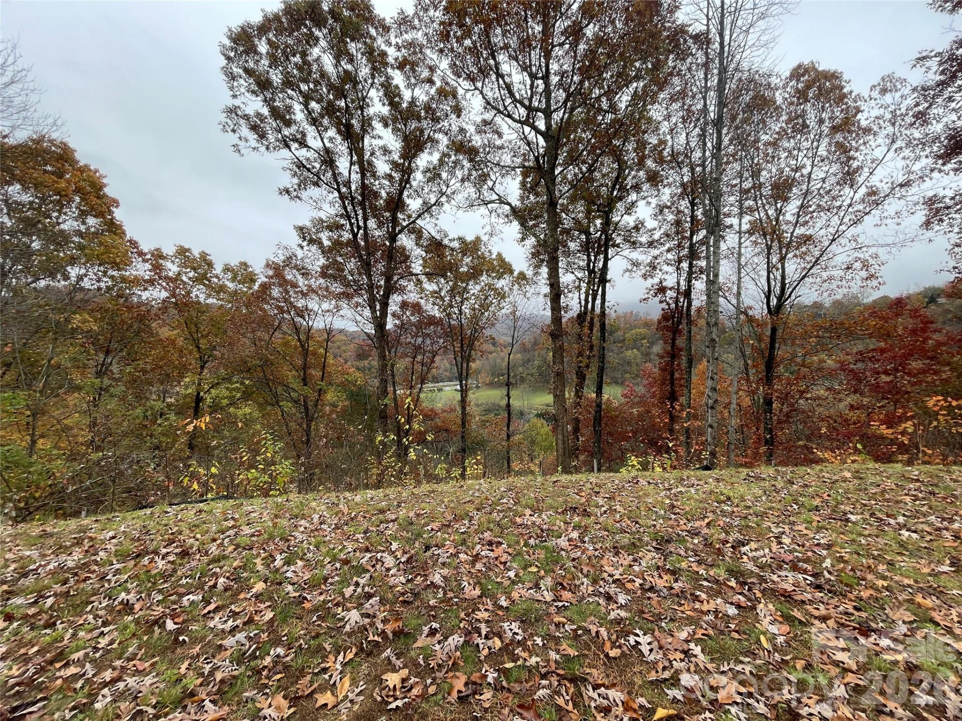 97 Junebug Trail