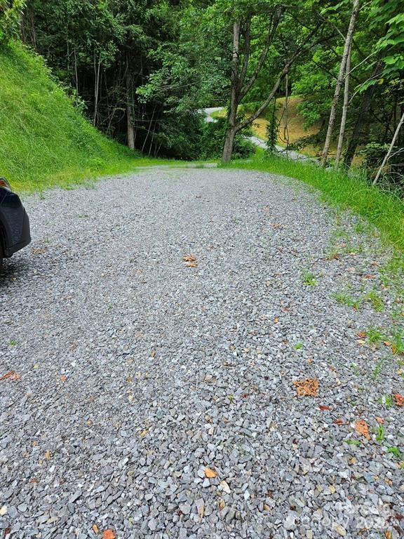 97 Junebug Trail - Photo 2