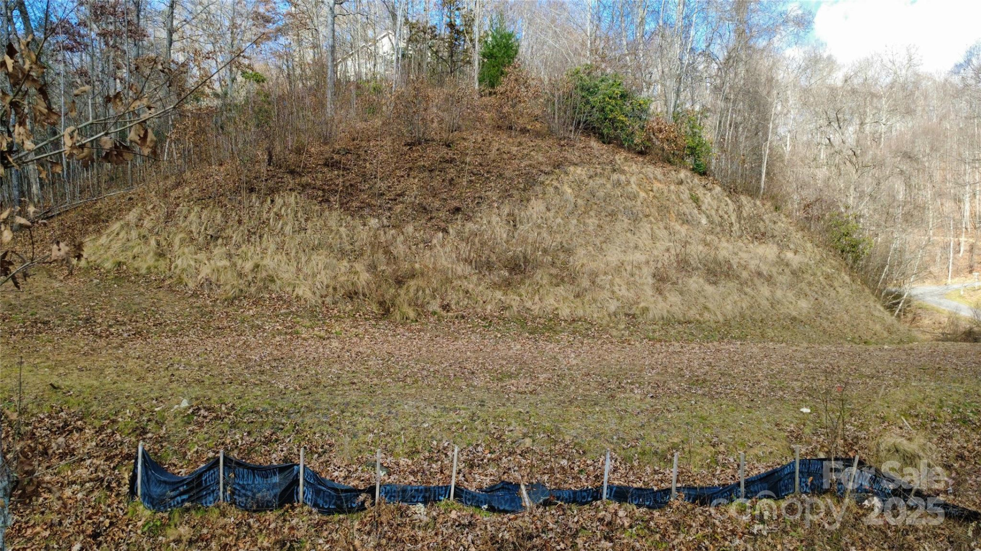 97 Junebug Trail - Photo 11