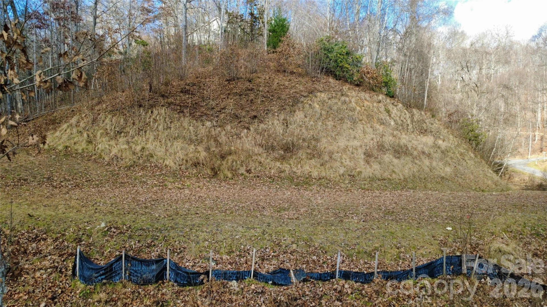 97 Junebug Trail - Photo 11