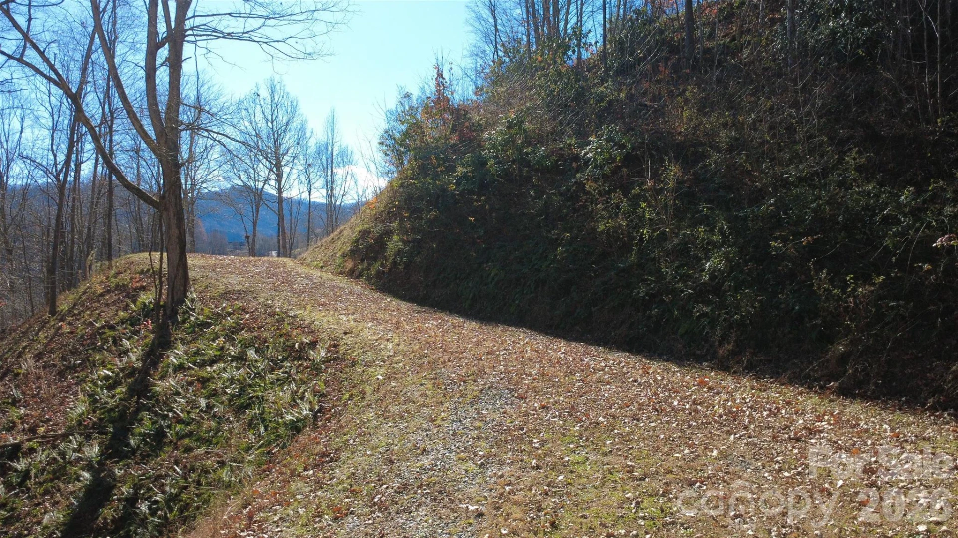 97 Junebug Trail - Photo 12