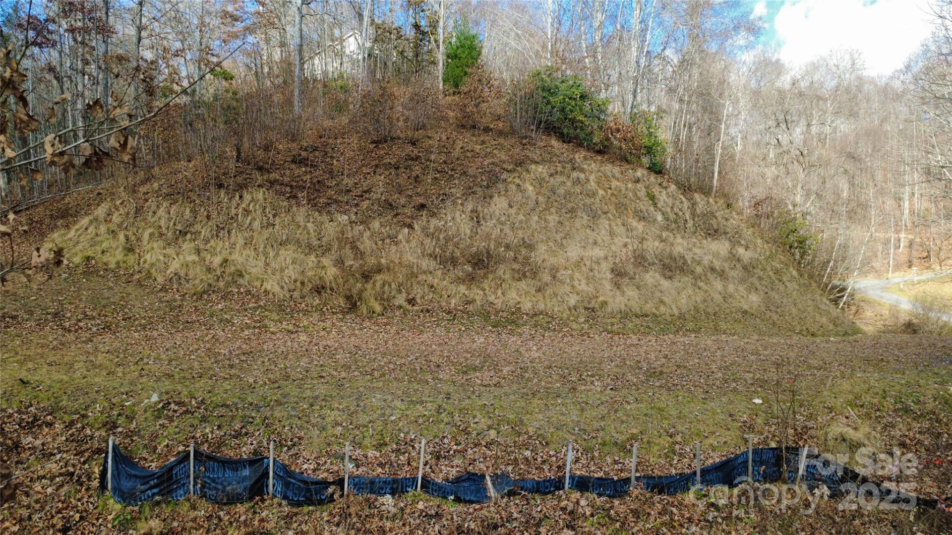 97 Junebug Trail - Photo 13