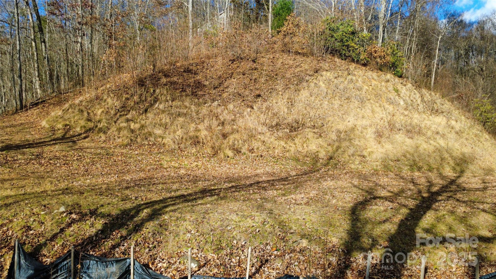 97 Junebug Trail - Photo 14