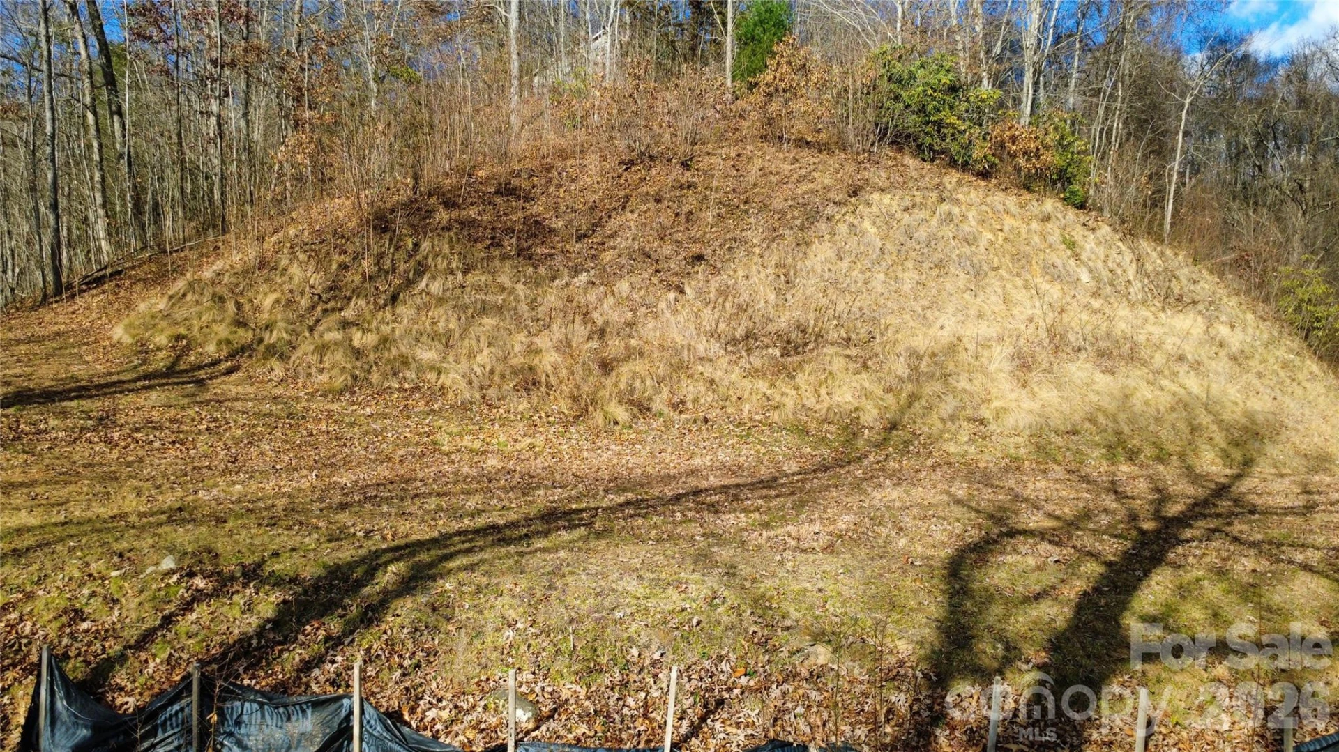 97 Junebug Trail - Photo 14