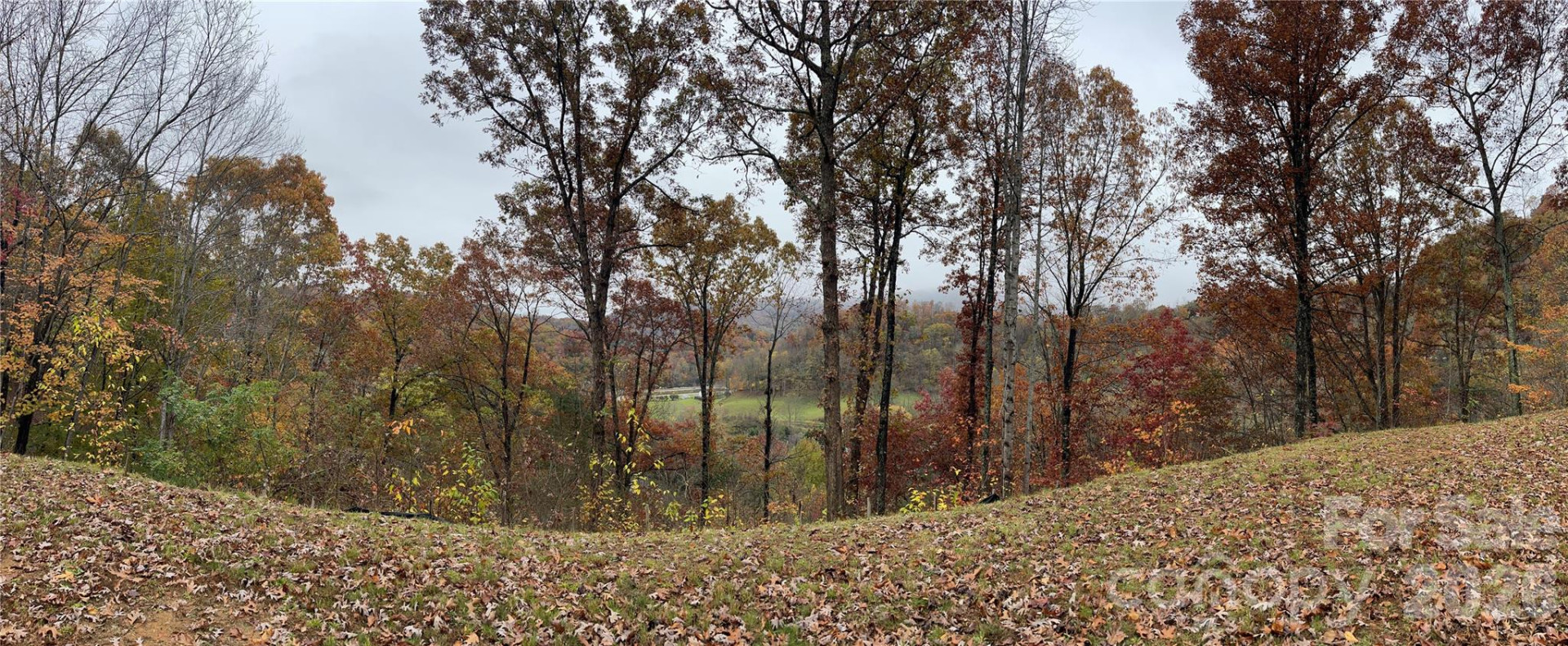 97 Junebug Trail - Photo 31