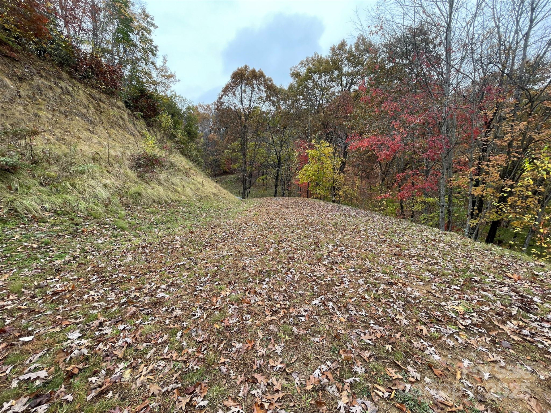 97 Junebug Trail - Photo 3