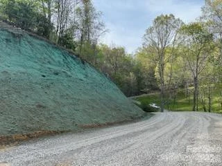 97 Junebug Trail - Photo 4