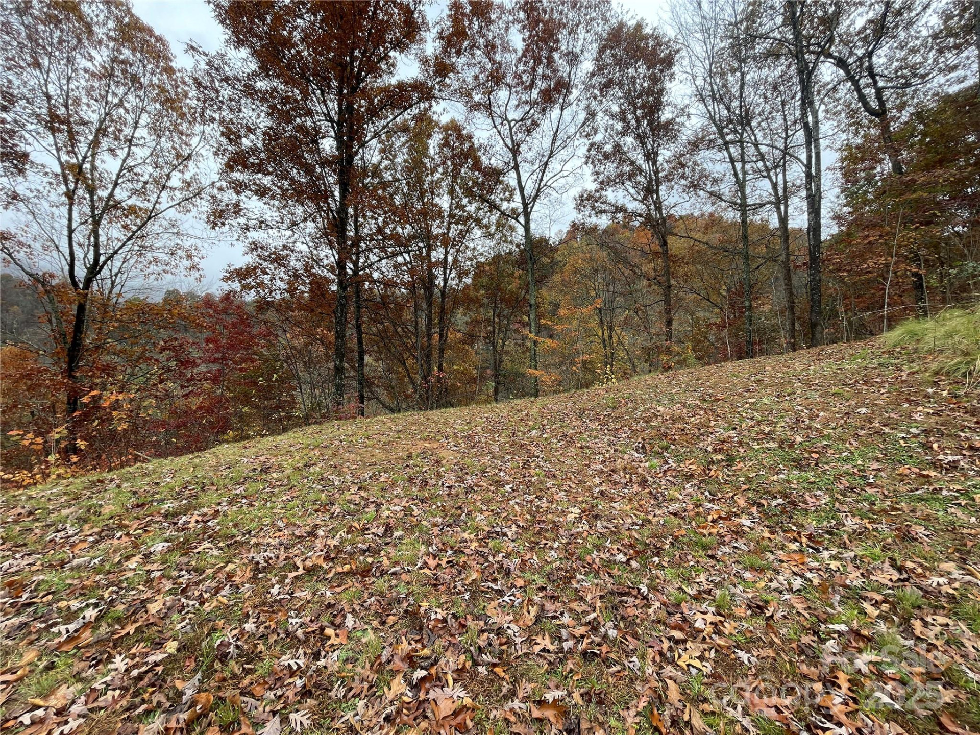 97 Junebug Trail - Photo 5