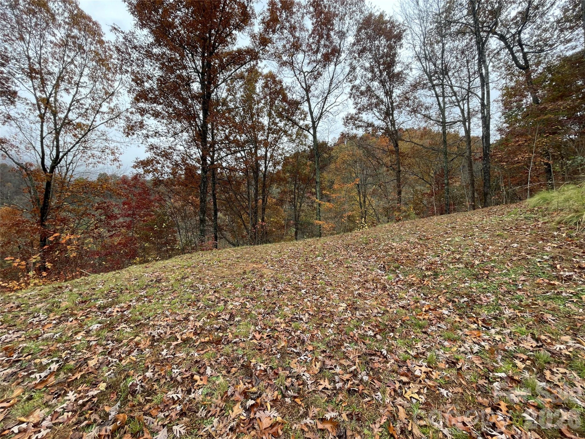 97 Junebug Trail - Photo 5