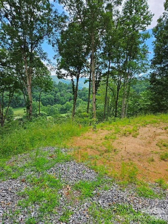 97 Junebug Trail - Photo 6