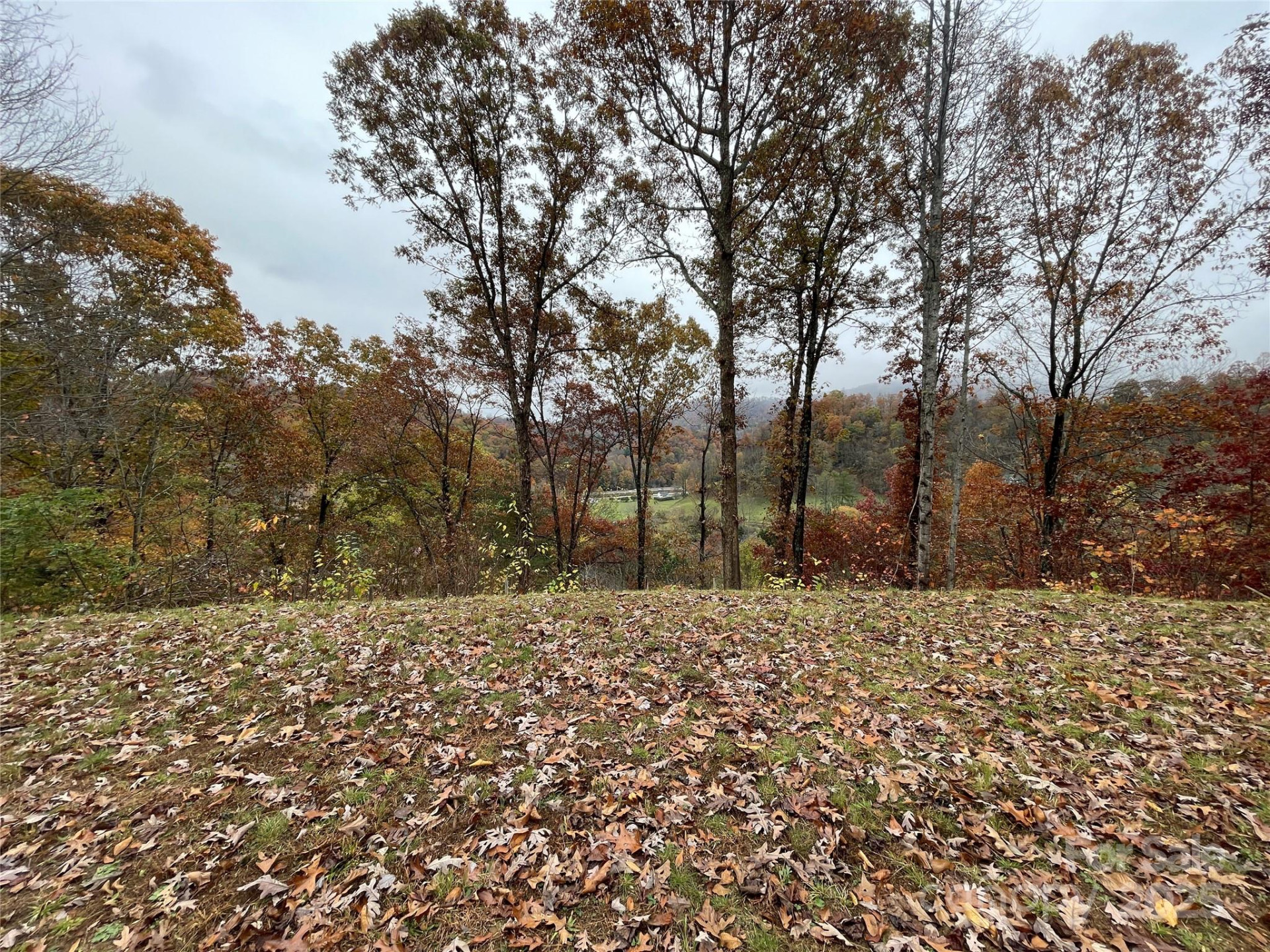 97 Junebug Trail - Photo 7