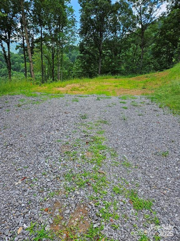 97 Junebug Trail - Photo 8