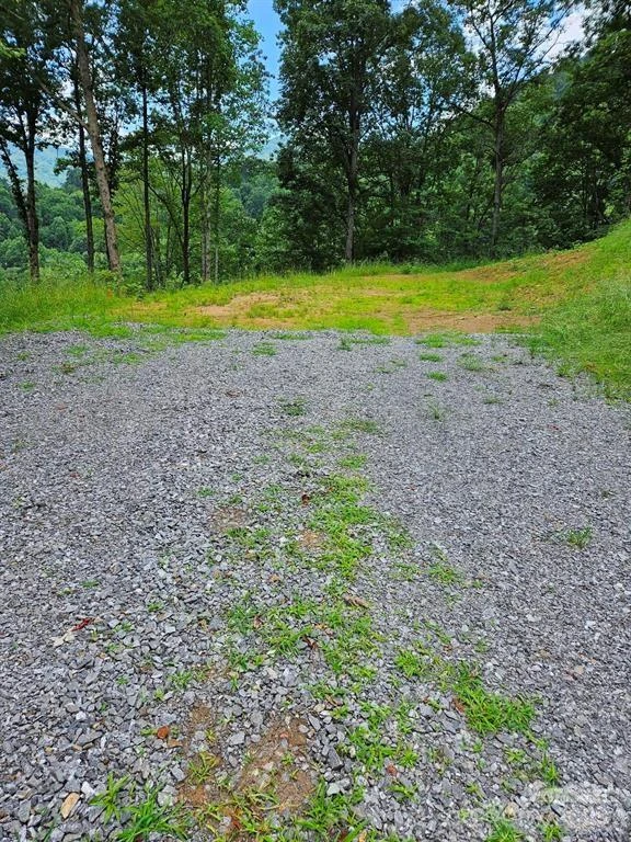 97 Junebug Trail - Photo 8