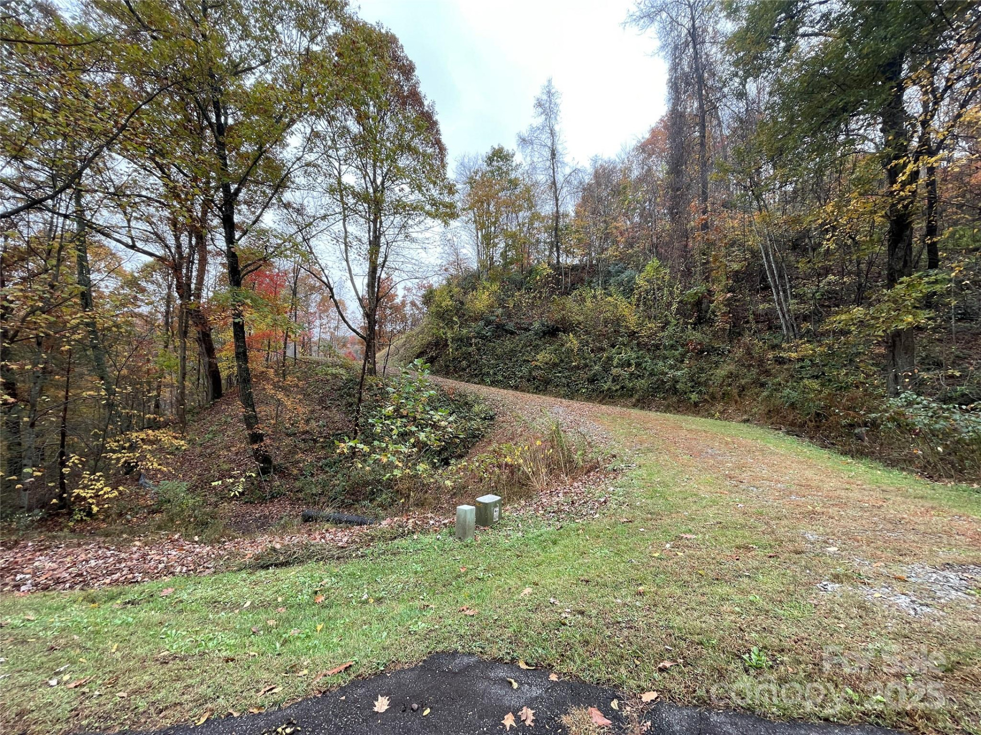 97 Junebug Trail - Photo 9