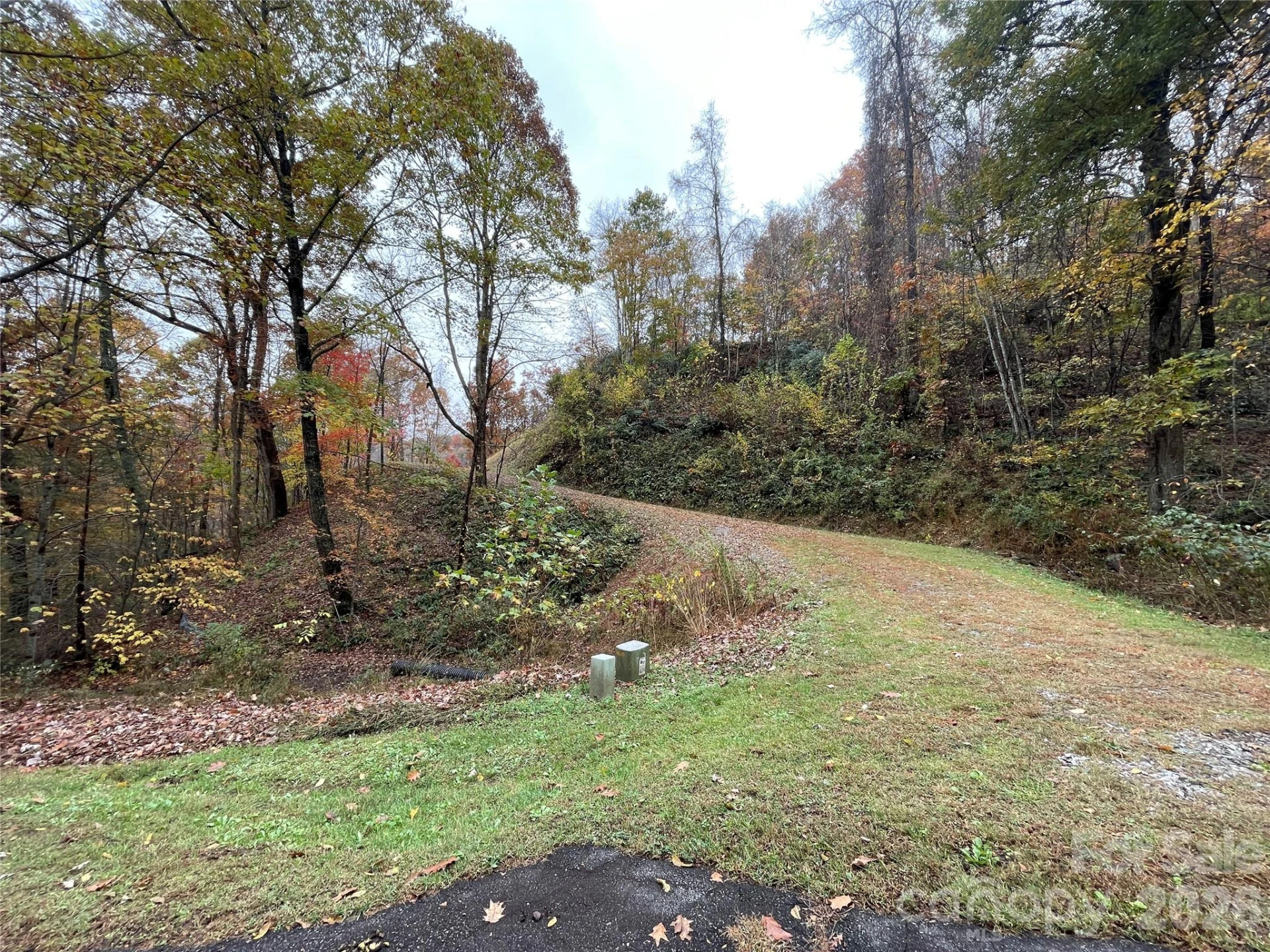 97 Junebug Trail - Photo 9