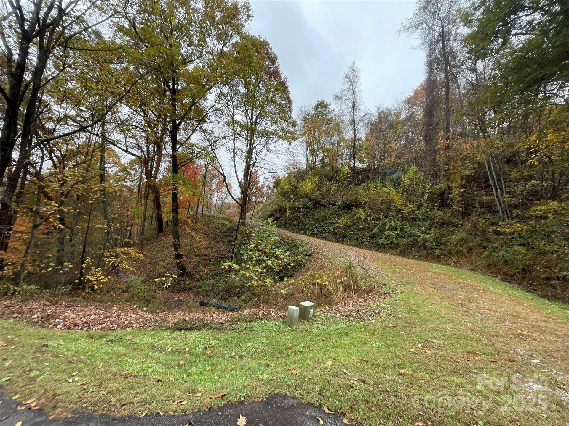 97 Junebug Trail - Photo 10