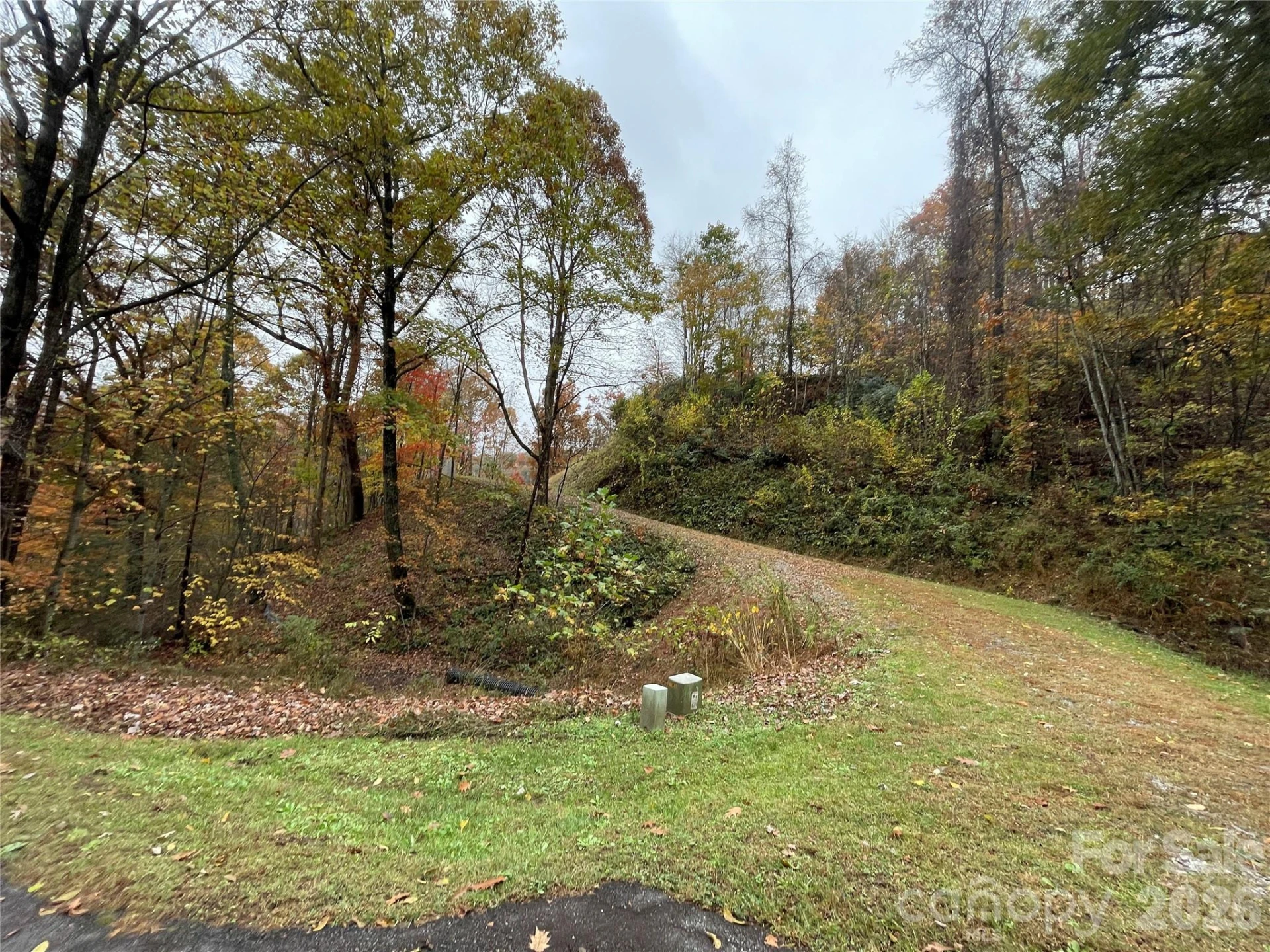 97 Junebug Trail - Photo 10