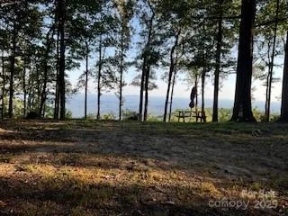 00 Mackerel Mountain Road - Photo 5
