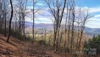 00 Mackerel Mountain Road - Photo 7