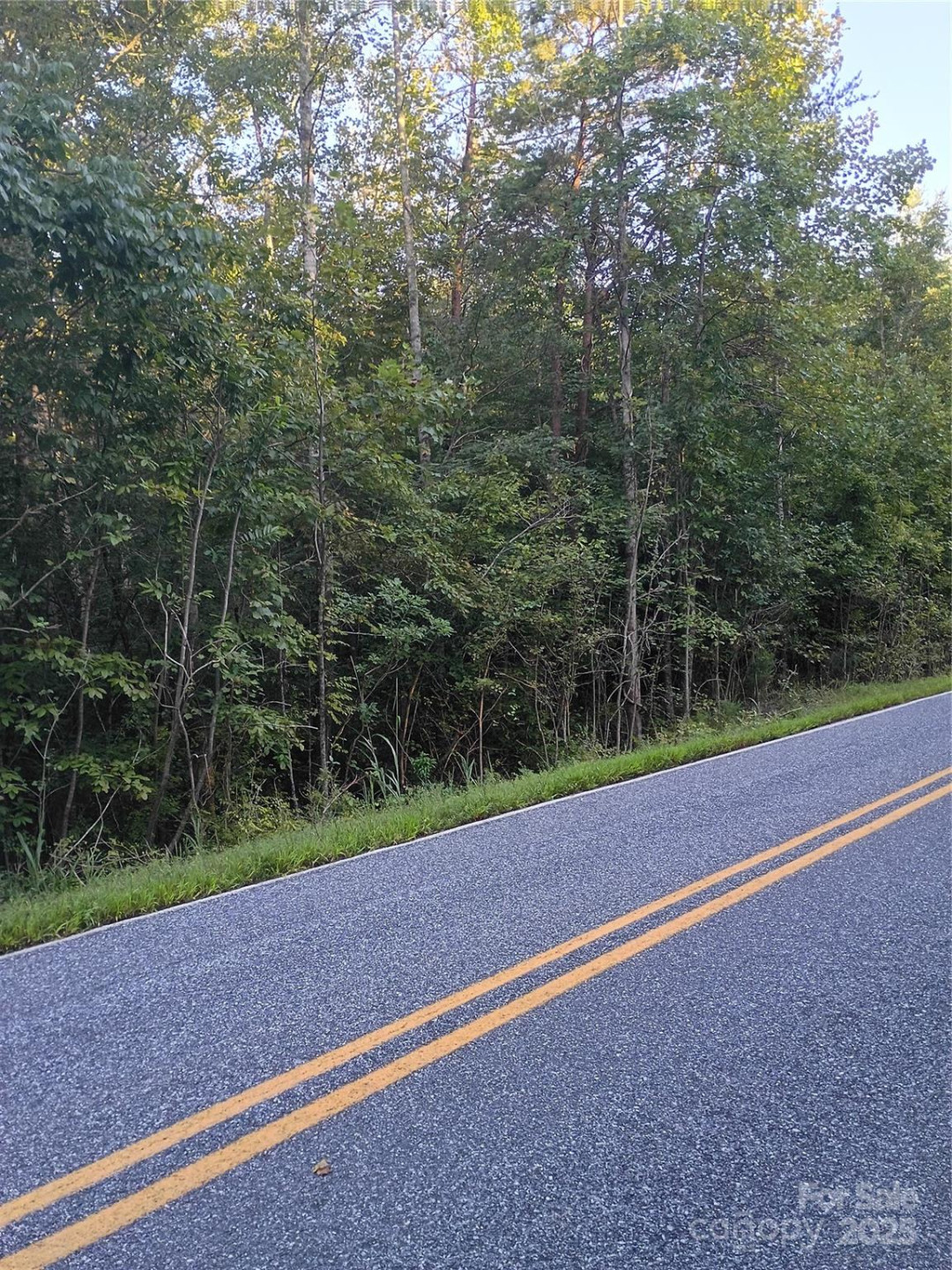 00 Toney Road - Photo 3