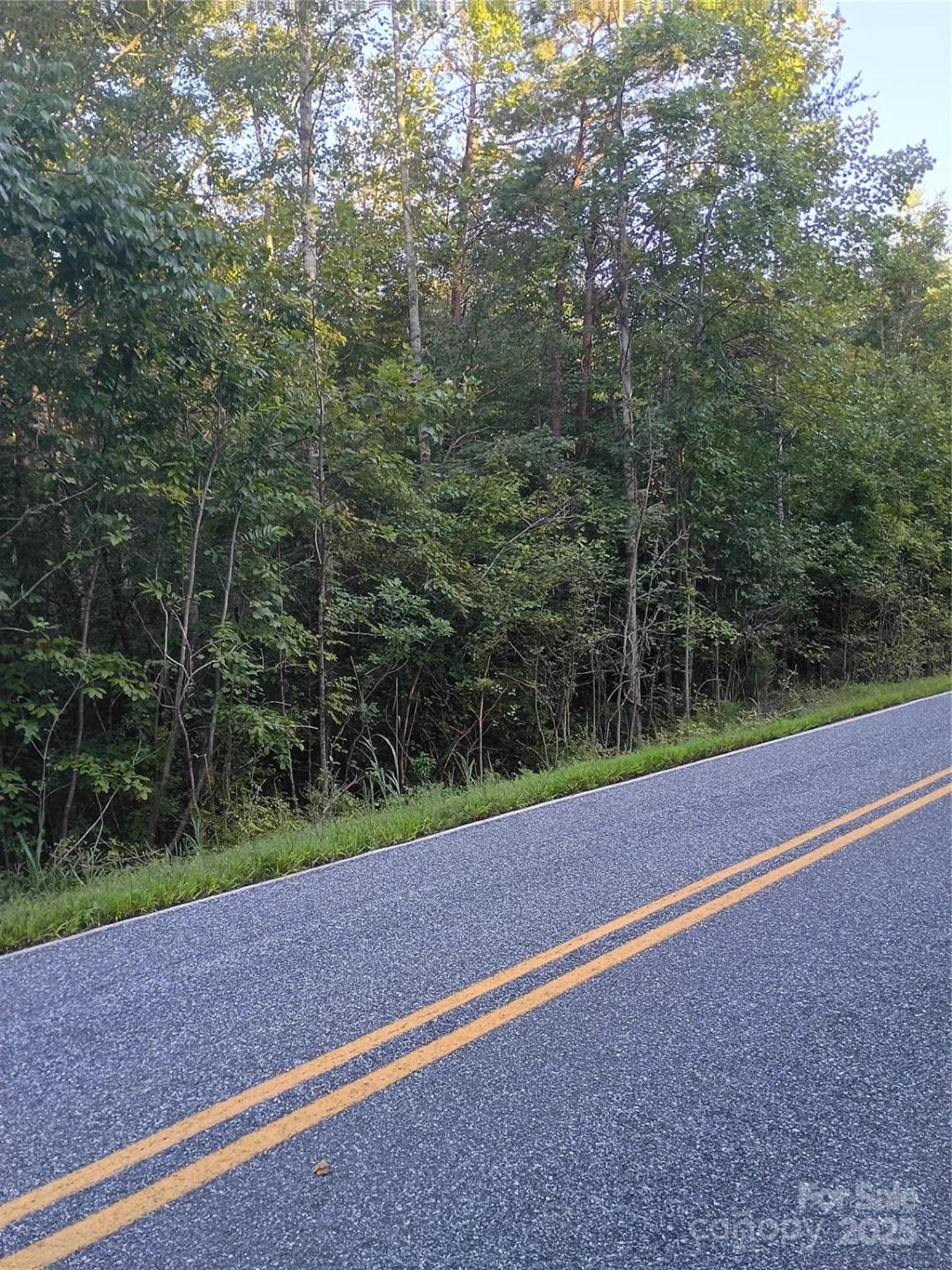 00 Toney Road - Photo 3