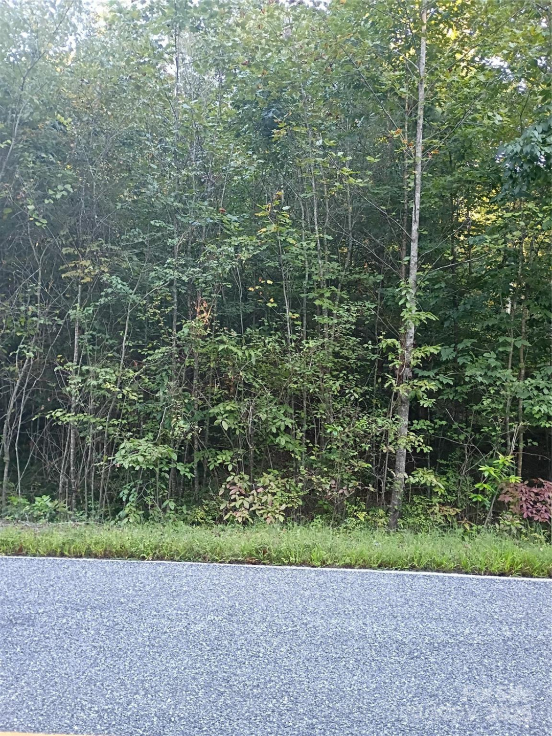 00 Toney Road - Photo 4