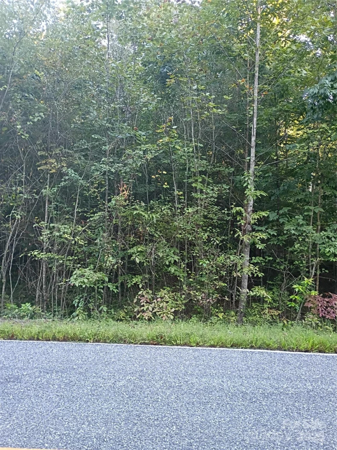 00 Toney Road - Photo 4