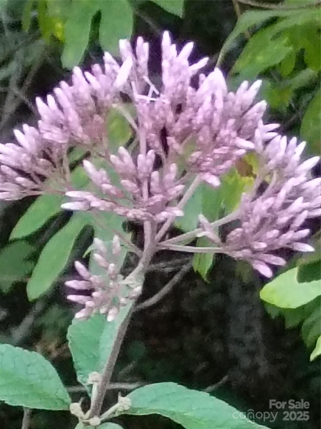 00 Toney Road - Photo 6