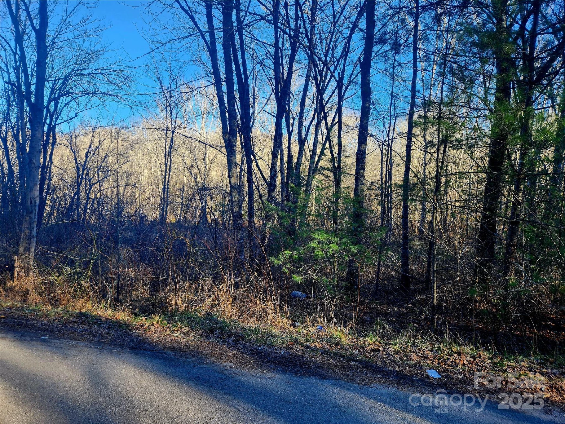 0001 Lyle Wilson Road - Photo 8