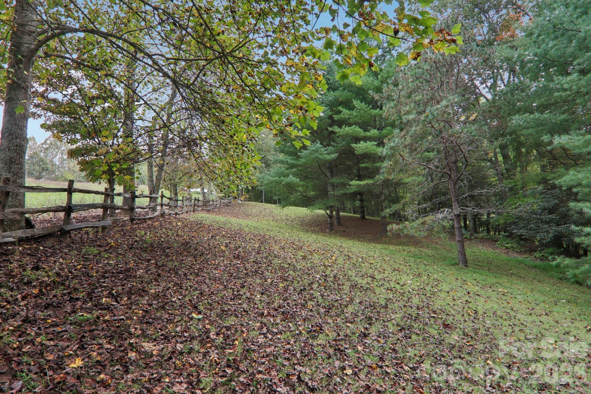 237 Handsome Drive - Photo 4