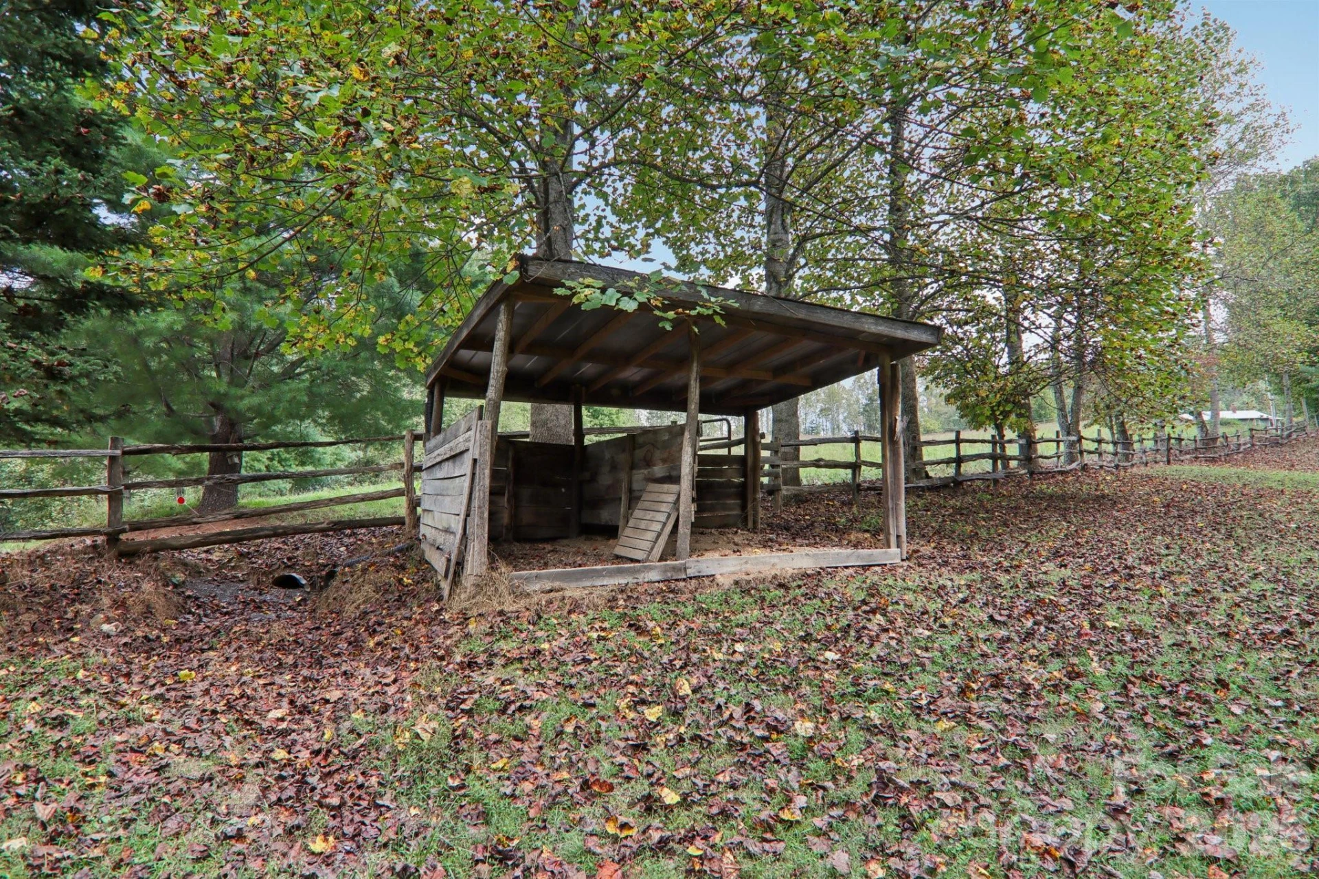 237 Handsome Drive - Photo 43