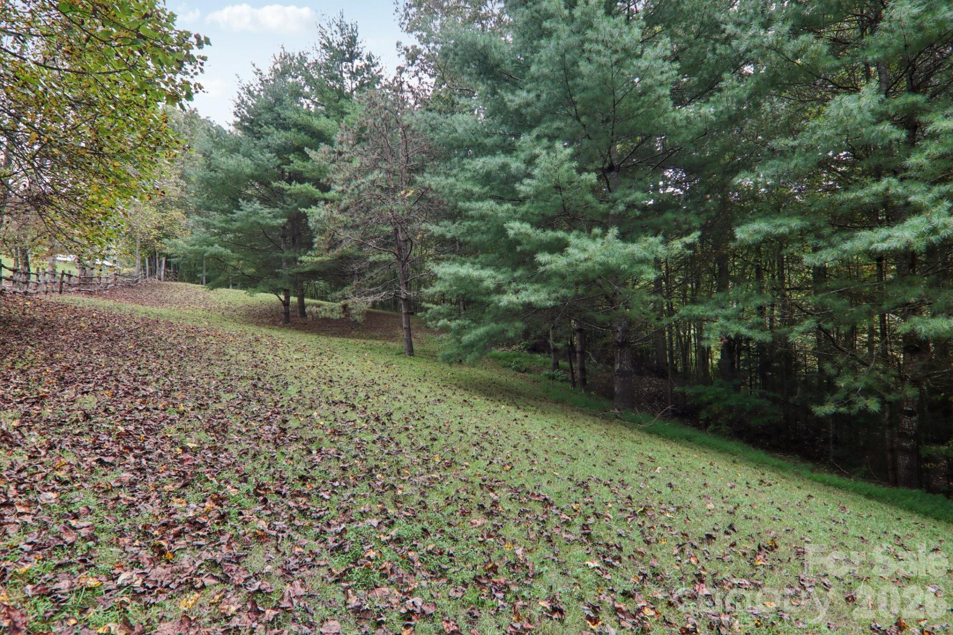 237 Handsome Drive - Photo 44