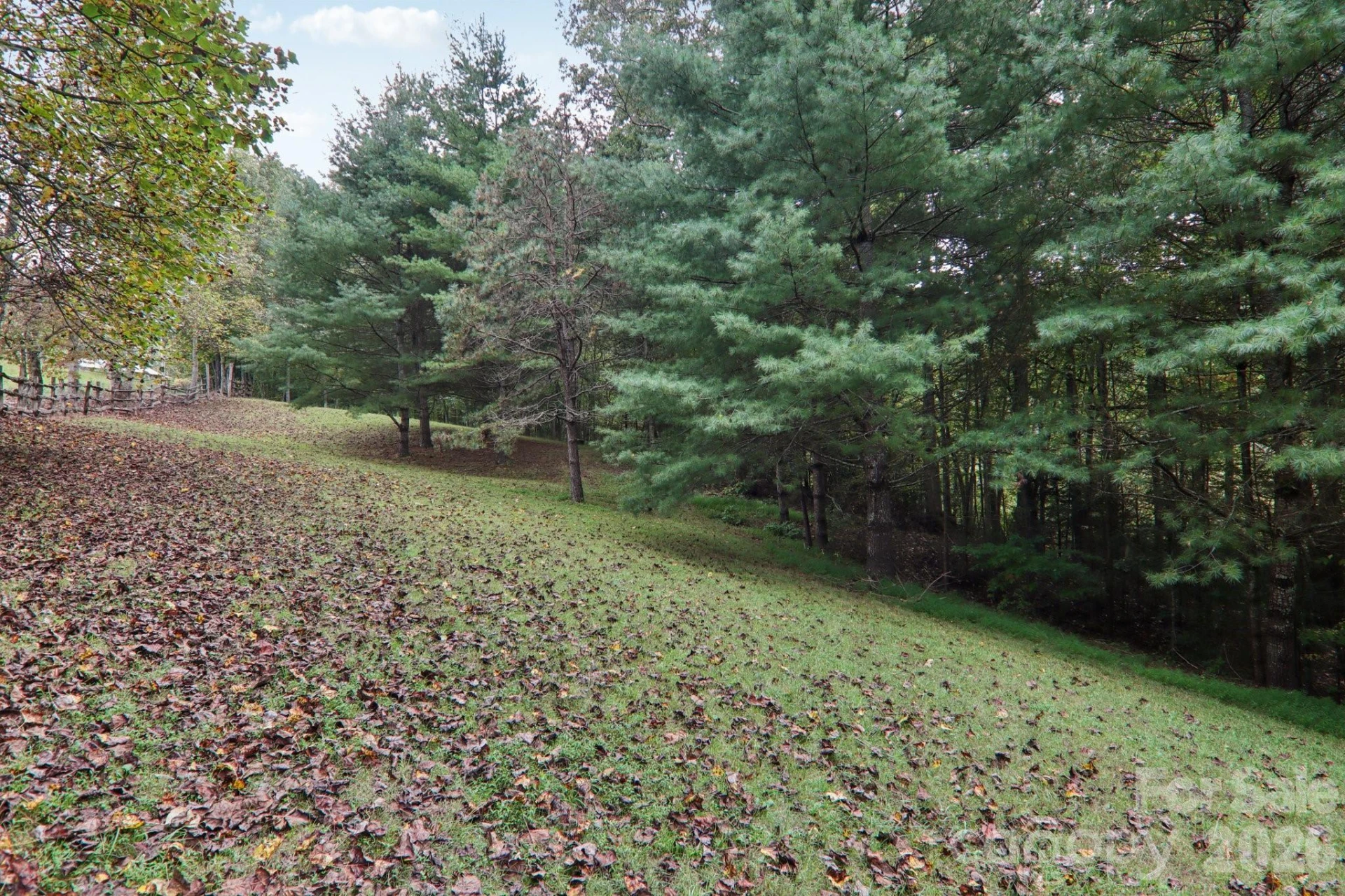 237 Handsome Drive - Photo 44