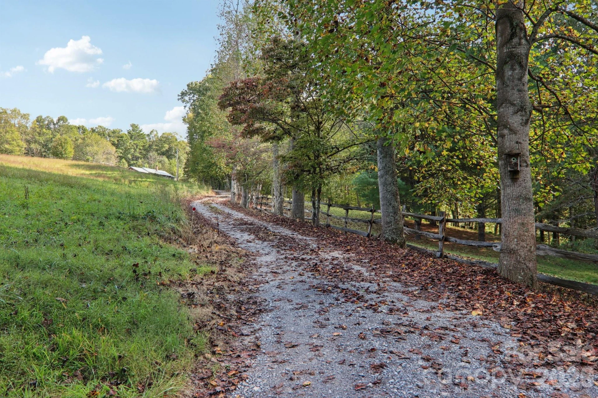 237 Handsome Drive - Photo 47