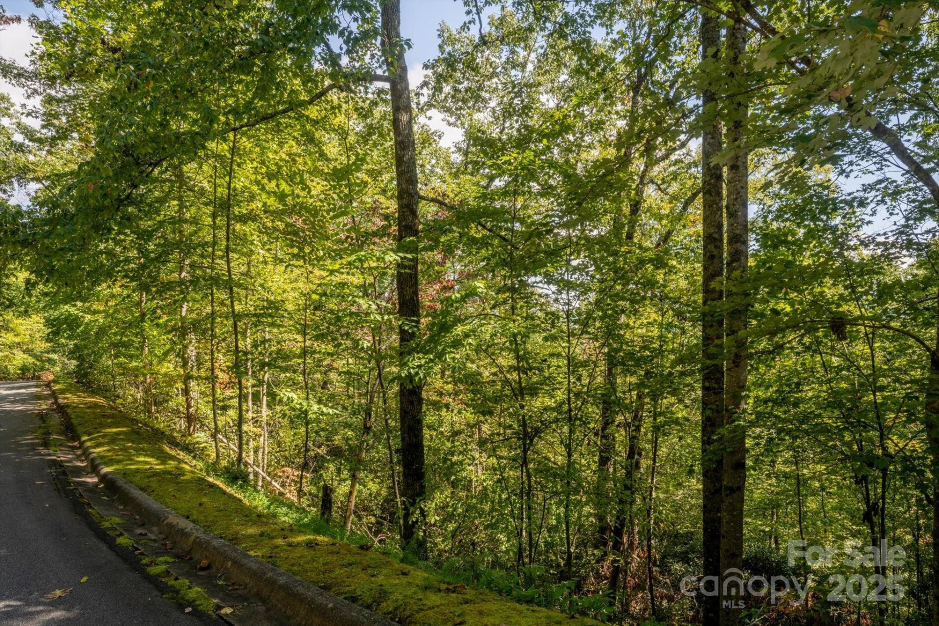 TBD Pine Mountain Trail #M79 - Photo 2