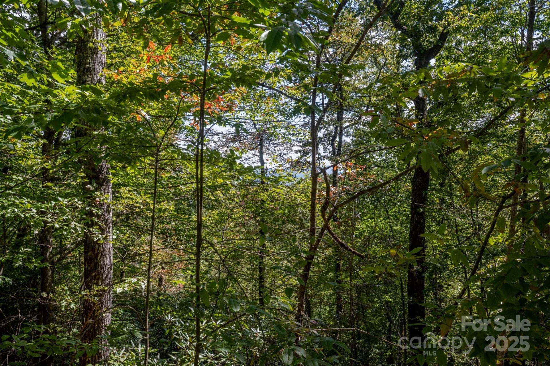 TBD Pine Mountain Trail #M79 - Photo 15