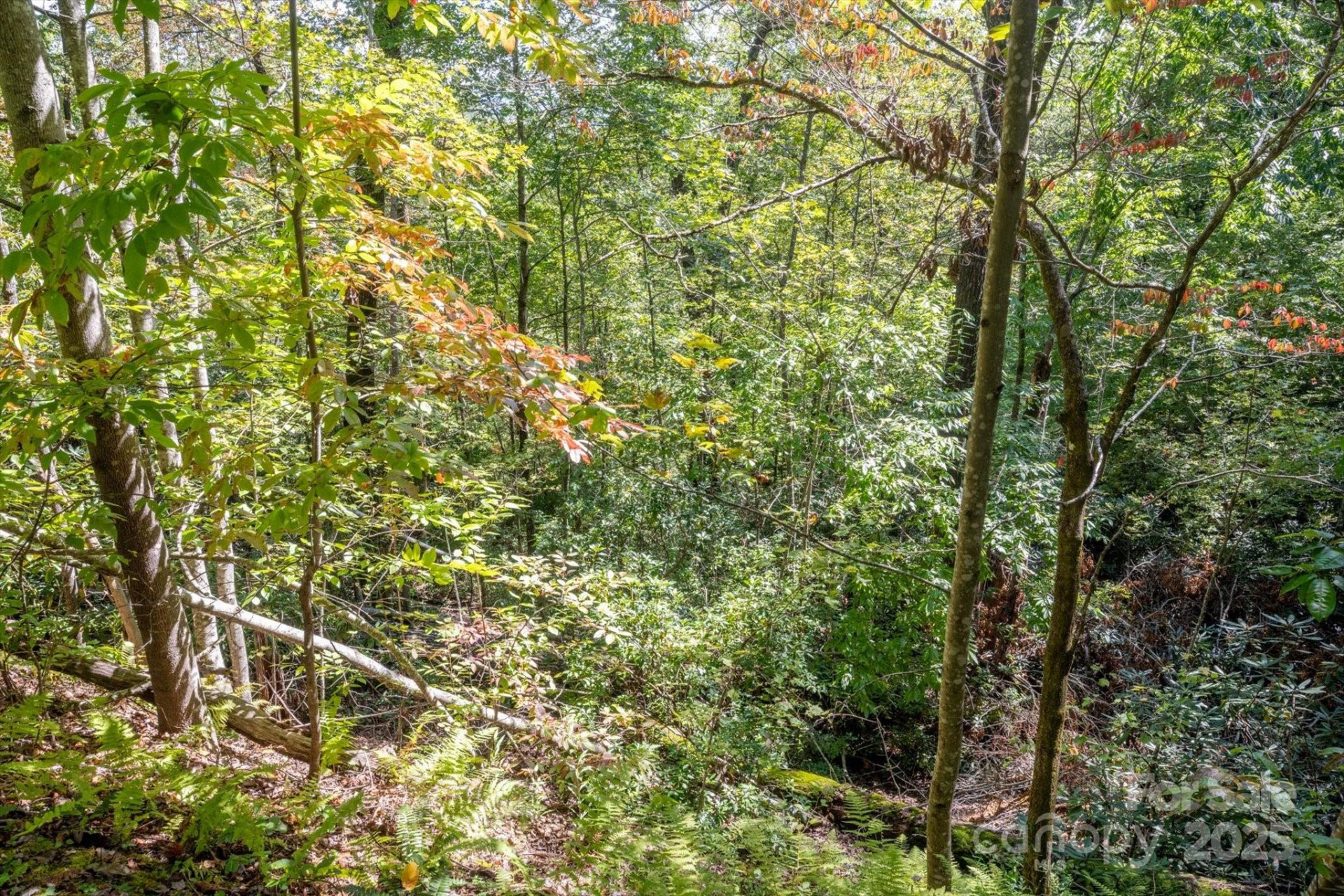 TBD Pine Mountain Trail #M79 - Photo 3