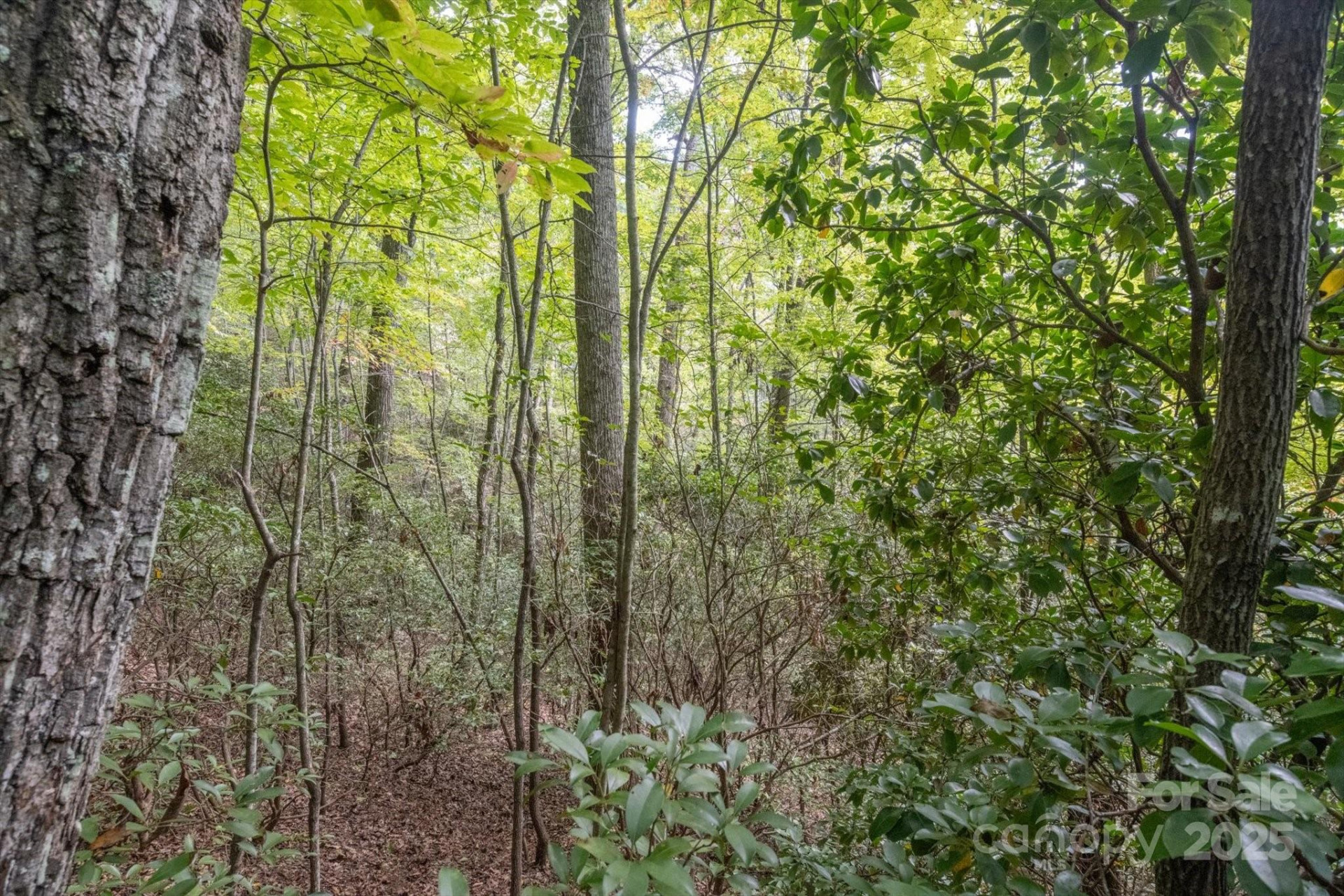 TBD Pine Mountain Trail #M79 - Photo 21