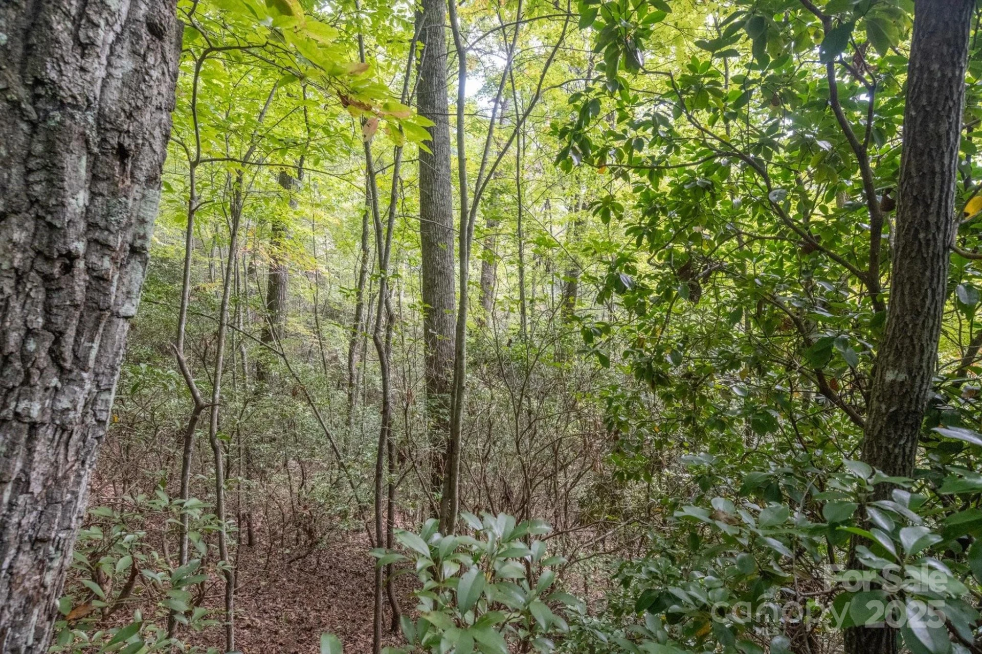 TBD Pine Mountain Trail #M79 - Photo 21