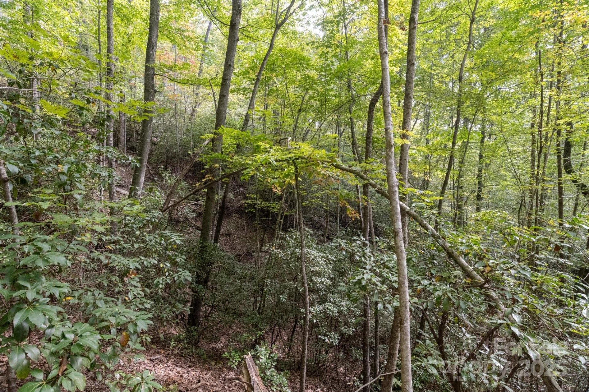 TBD Pine Mountain Trail #M79 - Photo 6