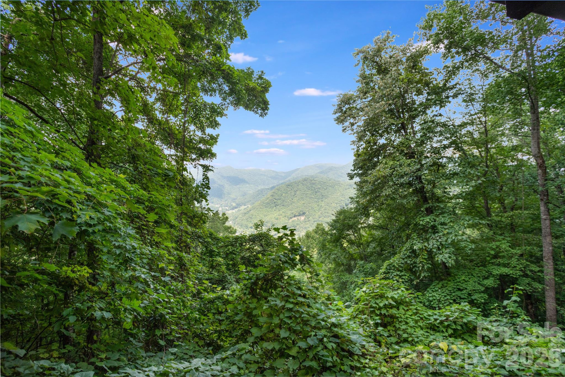 100 Chipmunk Lane - Photo 25