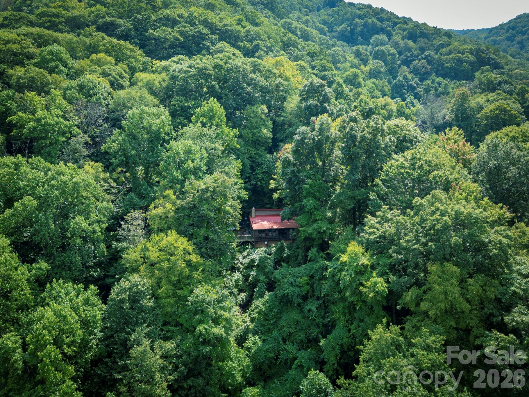 100 Chipmunk Lane - Photo 33