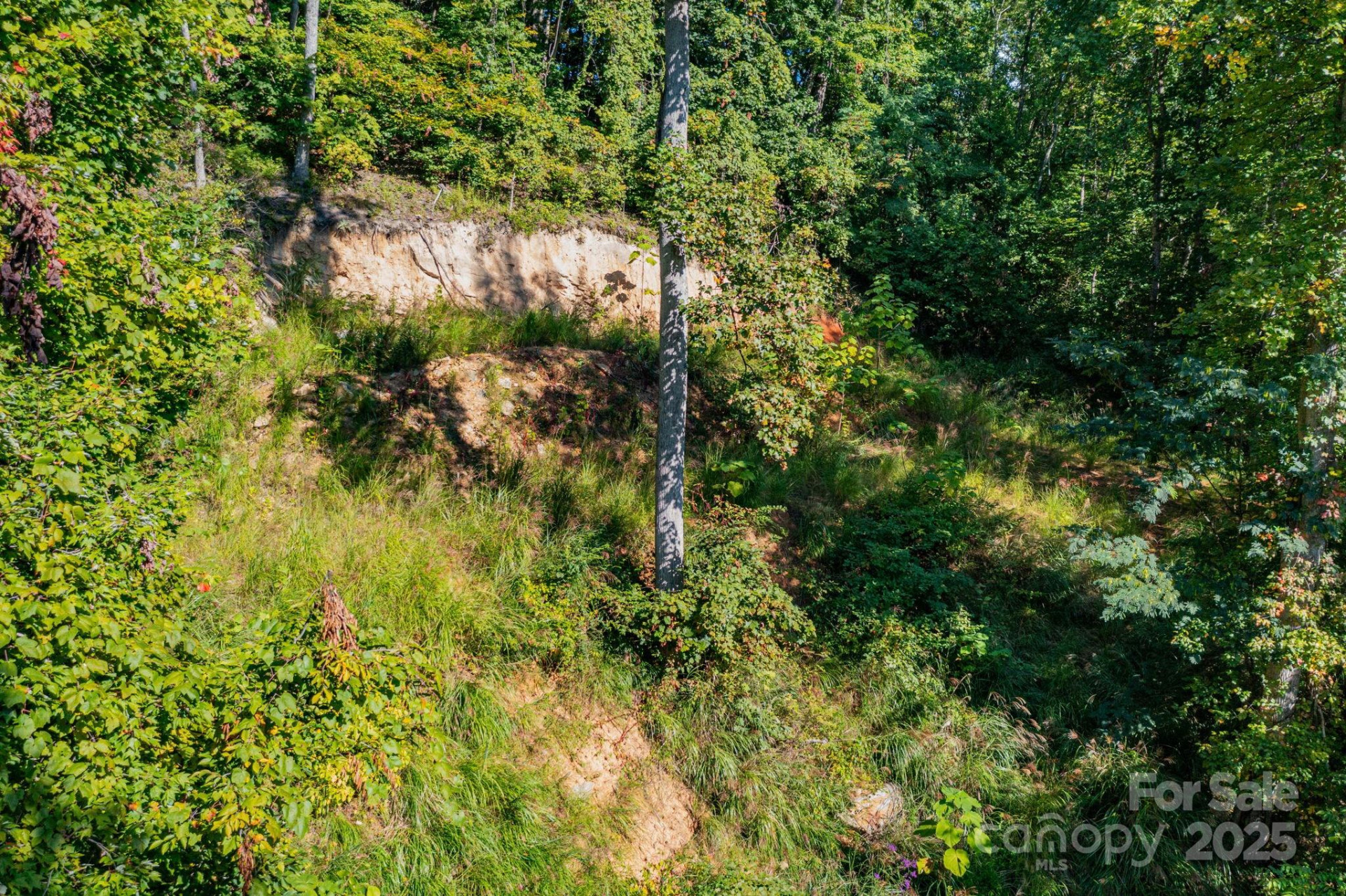 300 Running Deer Lane #70 - Photo 11